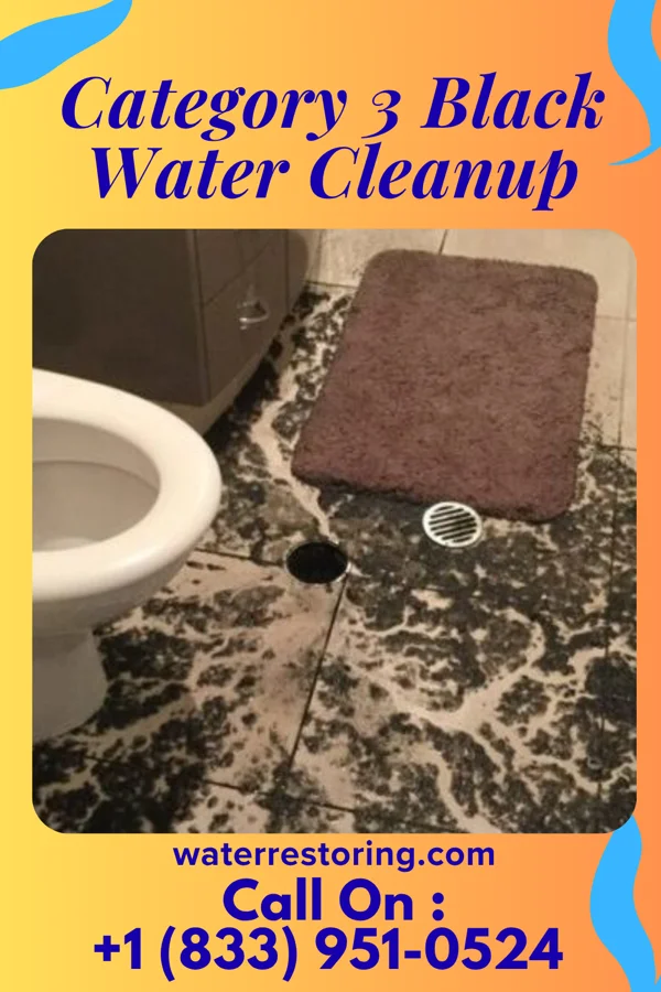Category 3 Black Water Cleanup in Garnavillo, IA