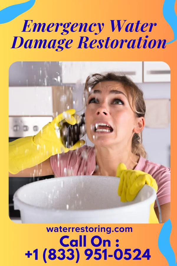 Emergency Water Damage Restoration in Garnavillo, IA
